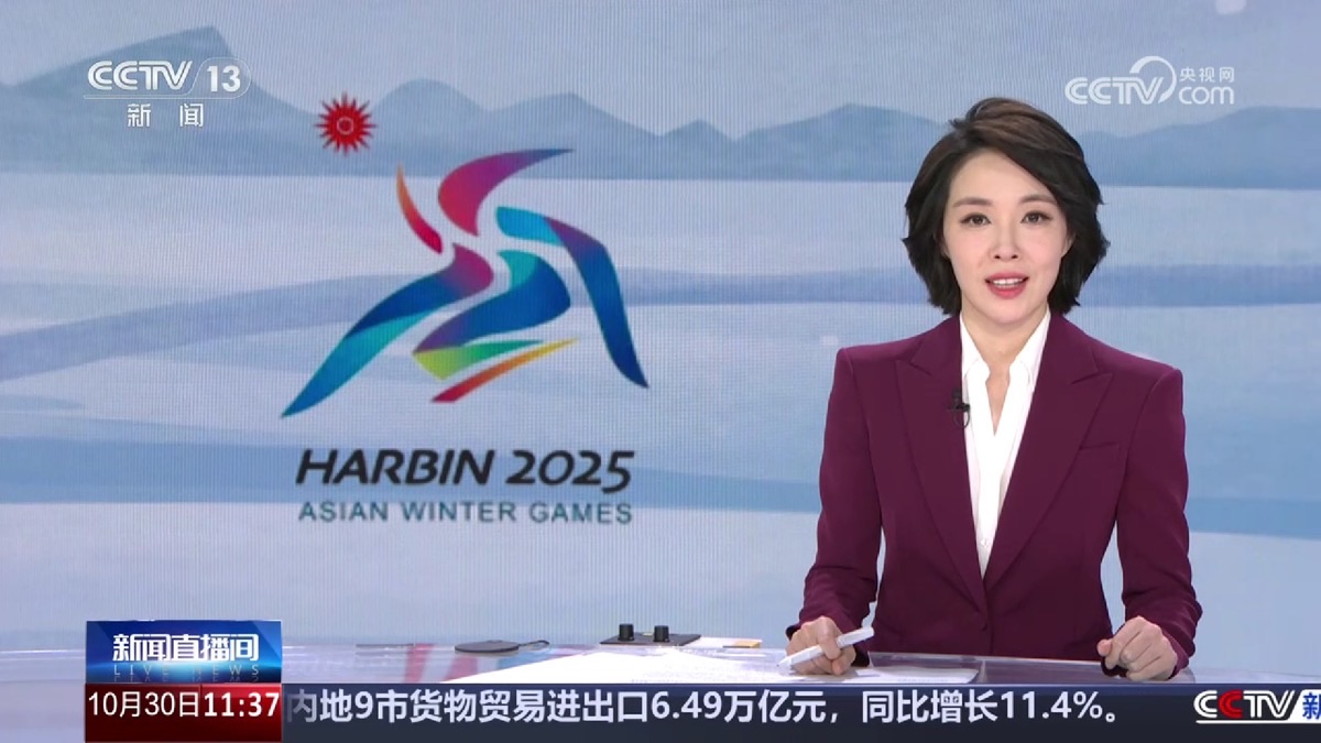 央视报道画面 2