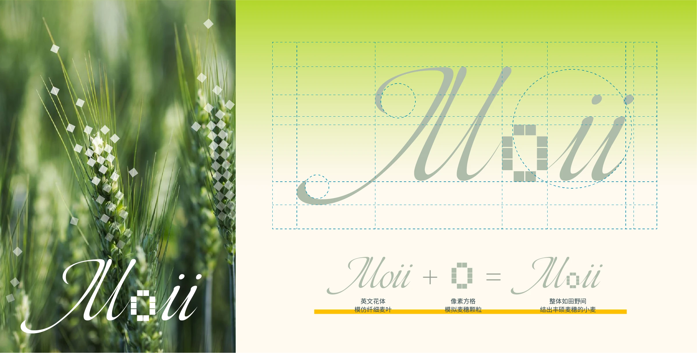 Moii 标志释义 — 花体 + 像素方格